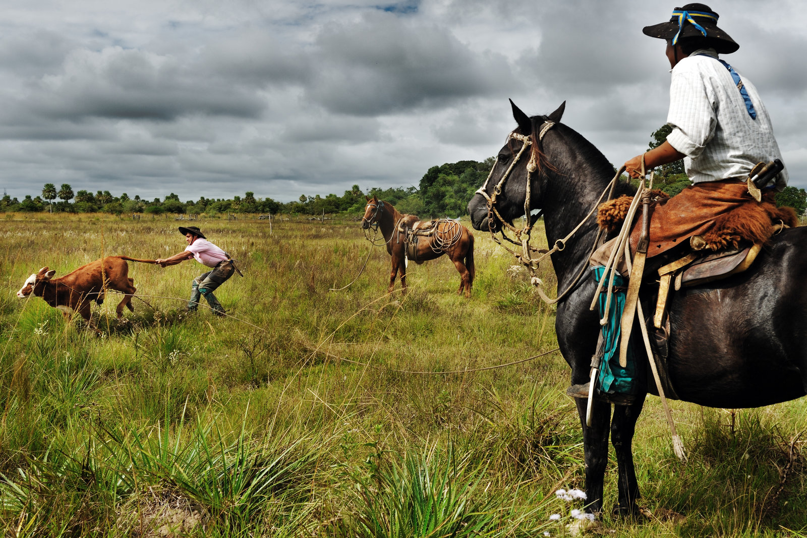 Argentina, Esteros del Iberà, Corrientes, Gauchos