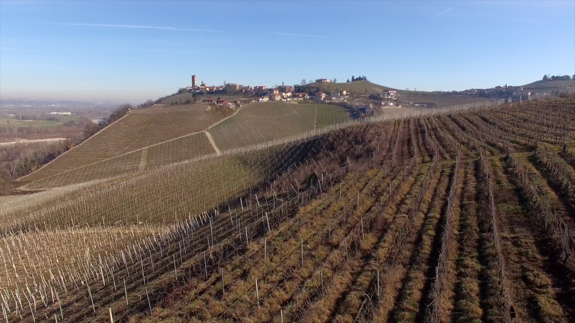 Gaja. Barbaresco winery in Piemonte